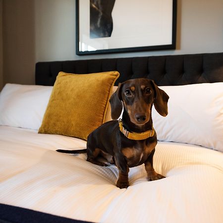 Voco™ Kirkton Park Hunter Valley, An Ihg Hotel Pokolbin Εξωτερικό φωτογραφία