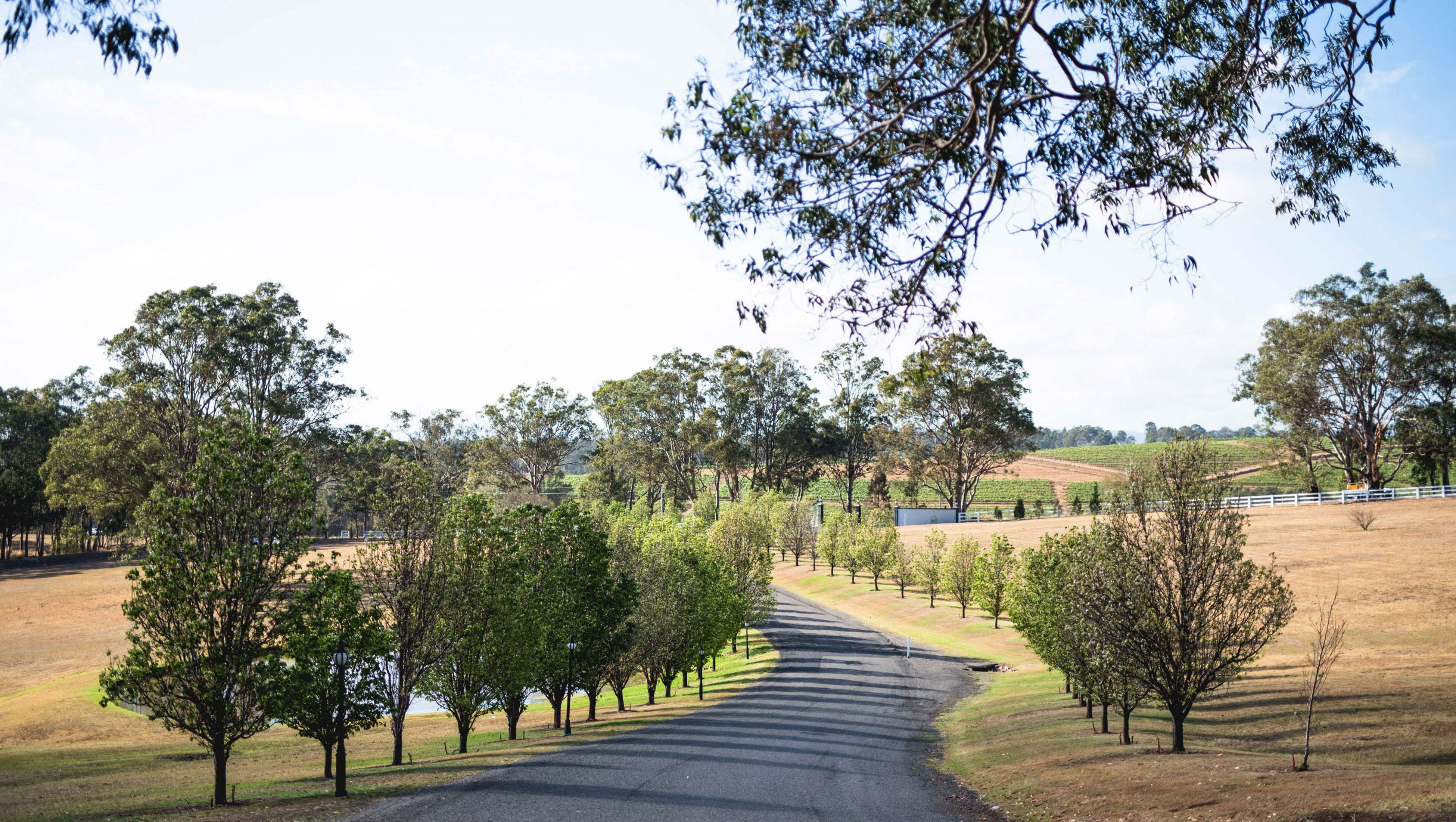 Voco™ Kirkton Park Hunter Valley, An Ihg Hotel Pokolbin Εξωτερικό φωτογραφία